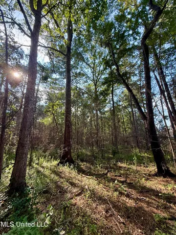 $235,000 | 5450 Jernigan Road, Liberty, MS 39645