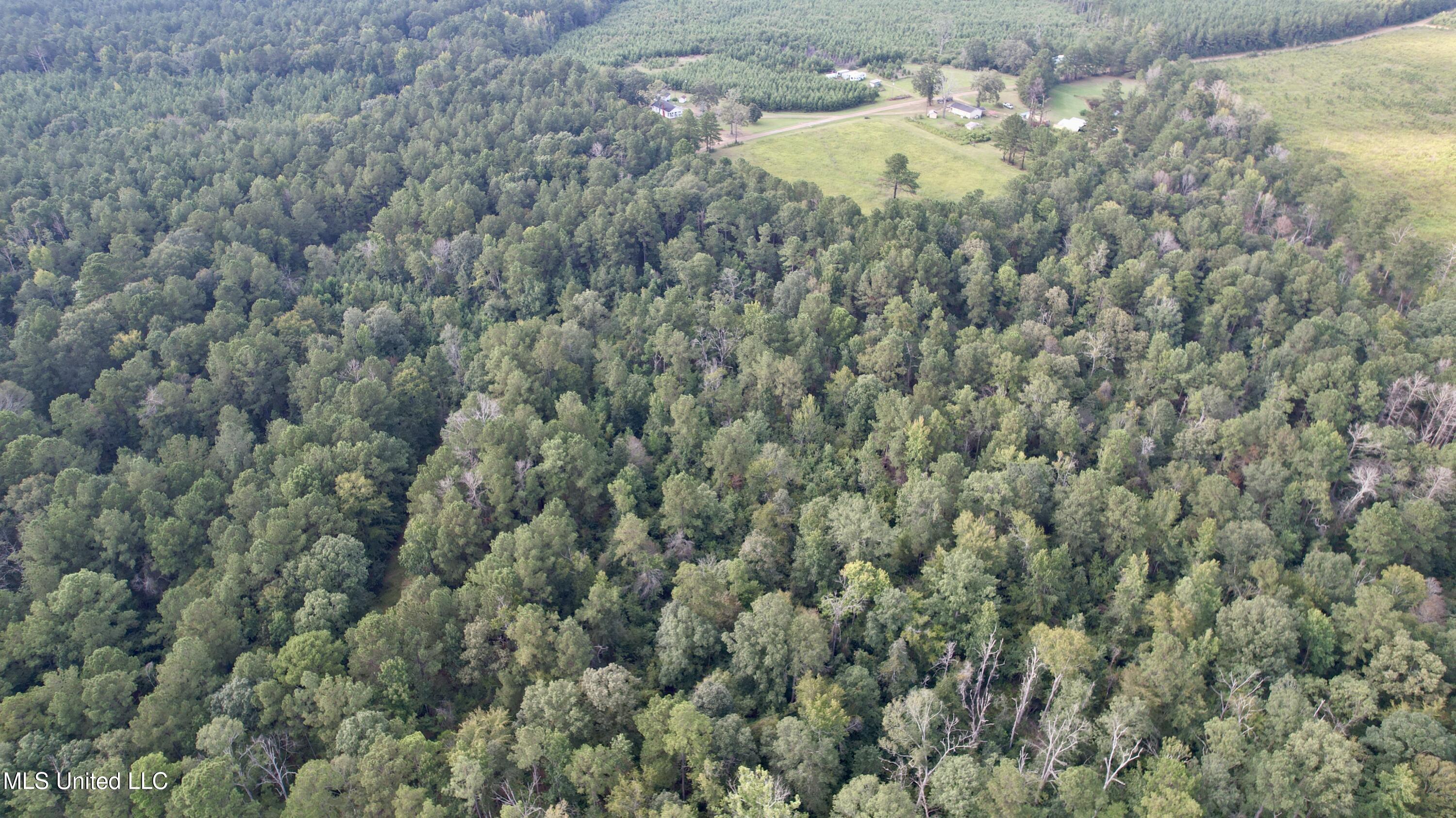 5450 Jernigan Road Liberty, MS 39645 - Photo 58 of 68 dji_fly_20250827_173728_215_175633441307
