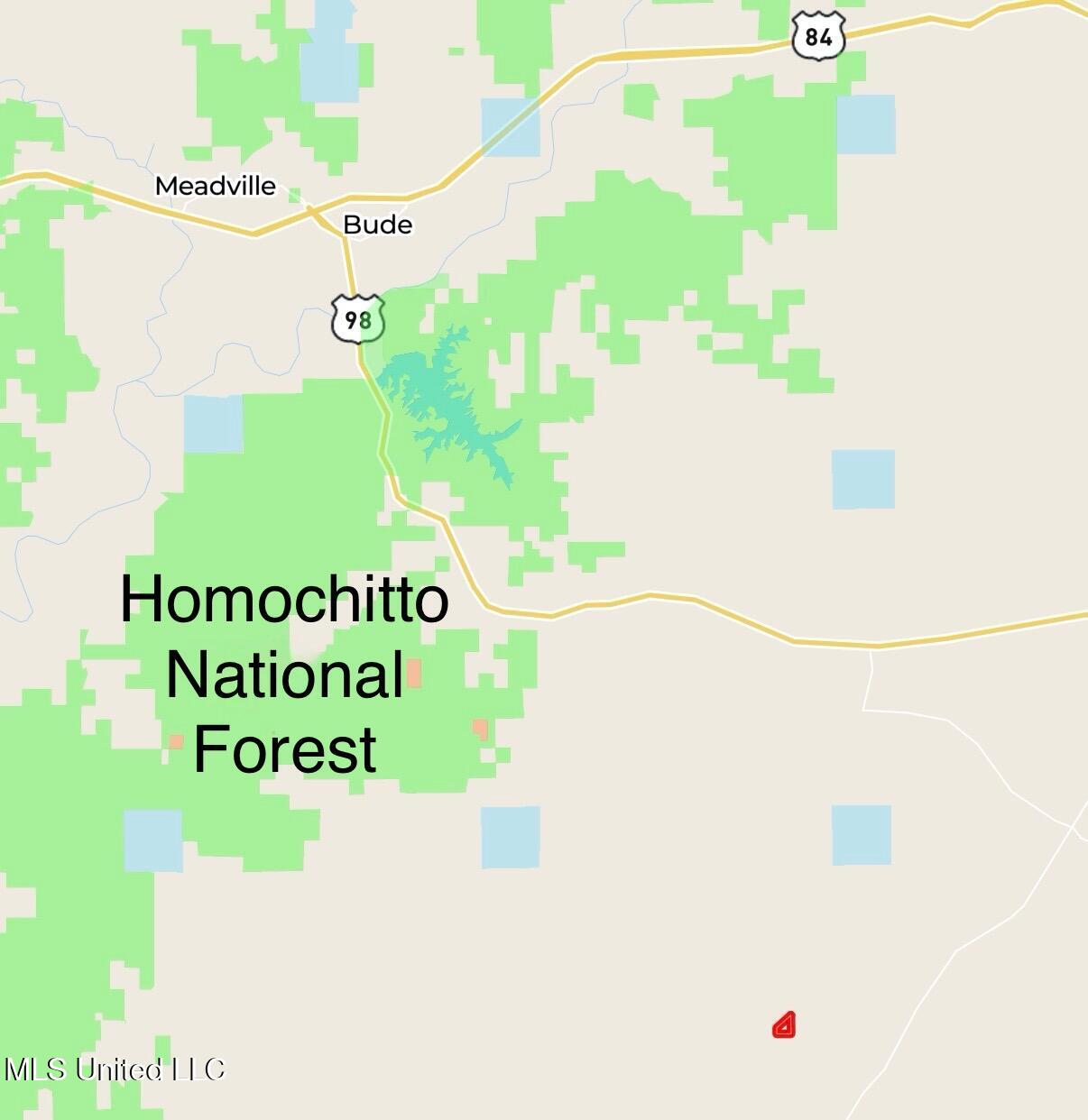 5450 Jernigan Road Liberty, MS 39645 - Photo 61 of 68 IMG_1210