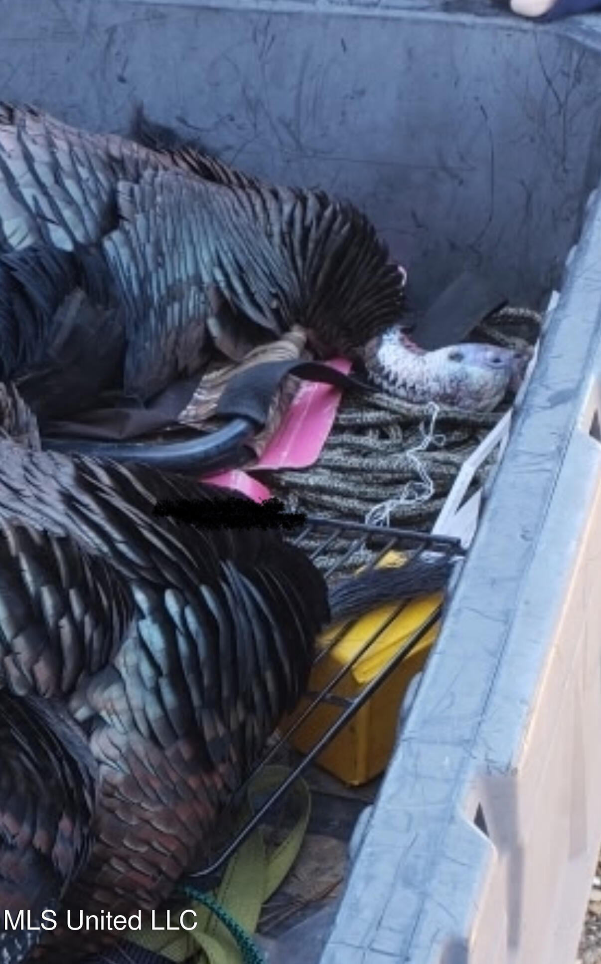 5450 Jernigan Road Liberty, MS 39645 - Photo 63 of 68 IMG_1315