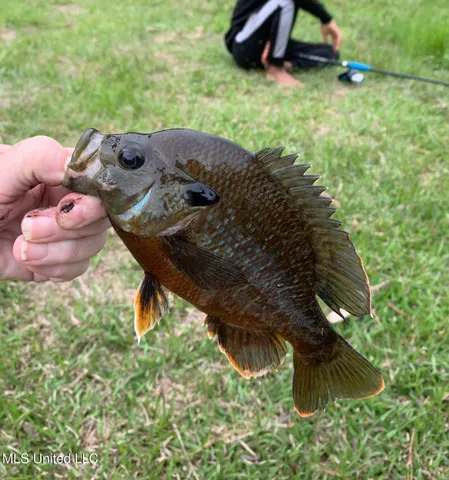 $235,000 | 5450 Jernigan Road, Liberty, MS 39645