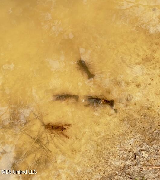 5450 Jernigan Road Liberty, MS 39645 - Photo 66 of 68 7724107308394971094