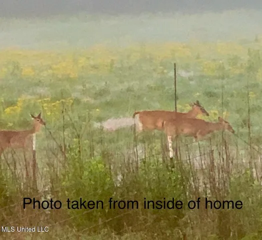 $235,000 | 5450 Jernigan Road, Liberty, MS 39645