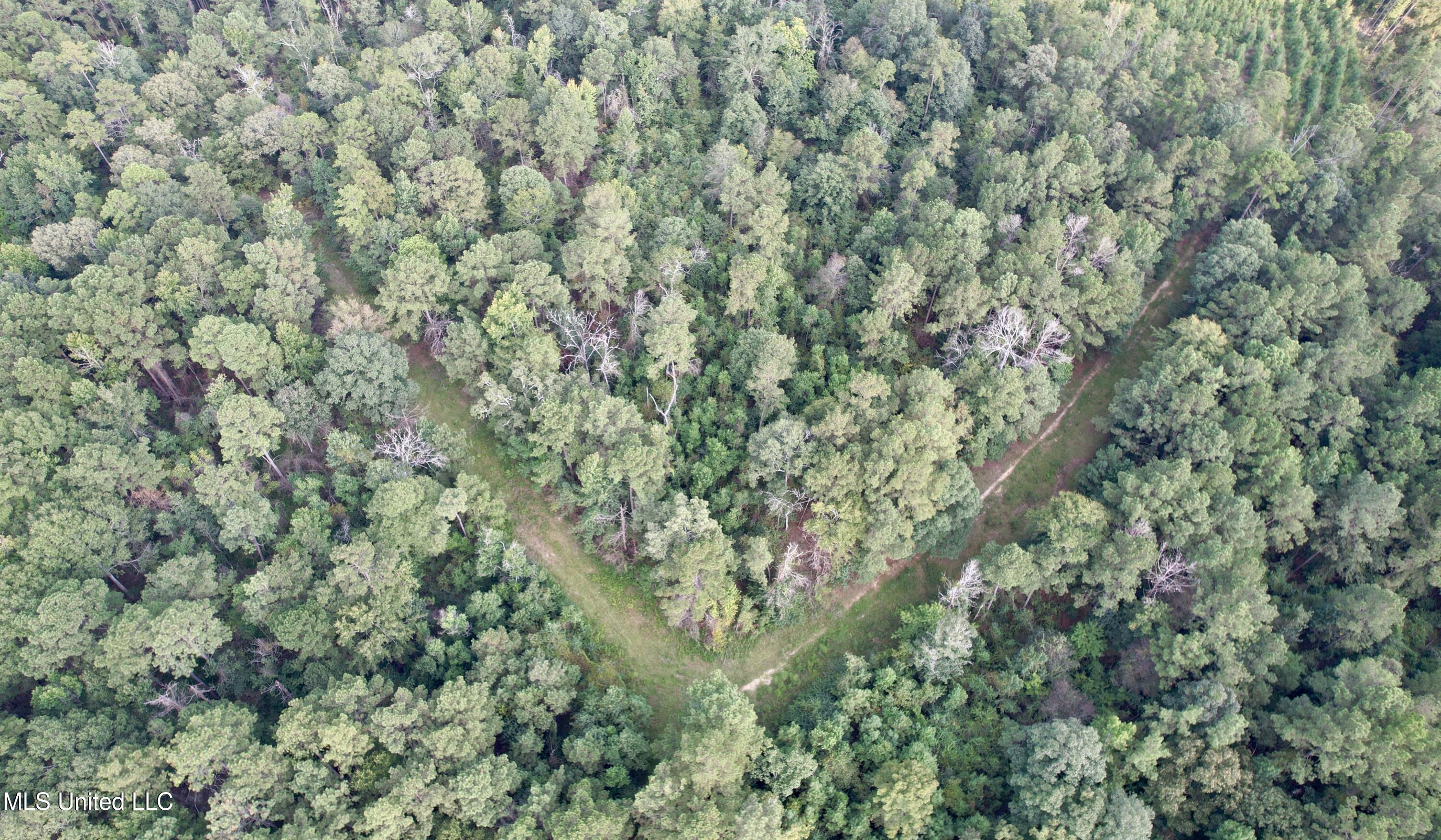 5450 Jernigan Road Liberty, MS 39645 - Photo 7 of 68 dji_fly_20250827_173646_214_175633441480
