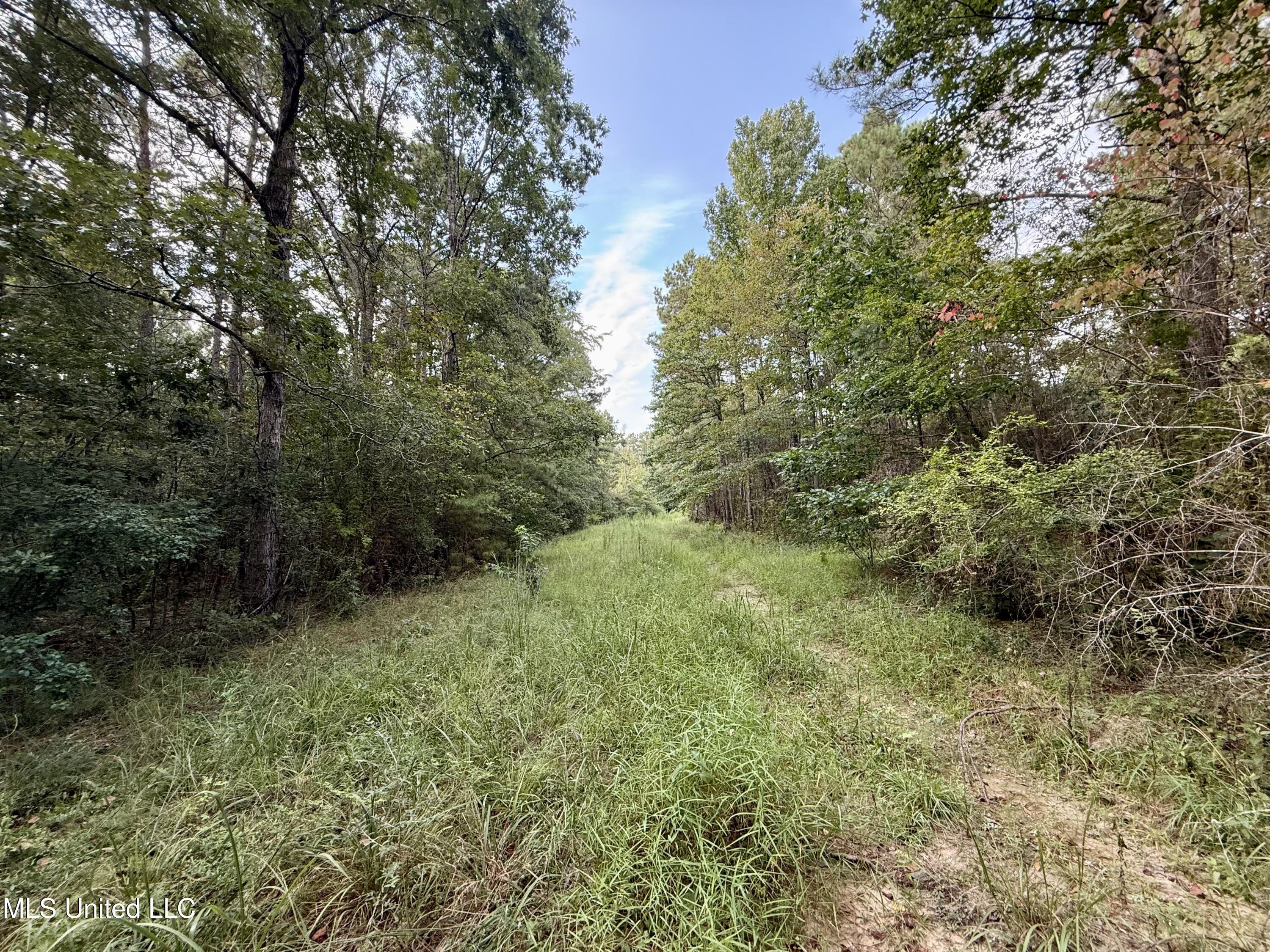 5450 Jernigan Road Liberty, MS 39645 - Photo 8 of 68 IMG_1154