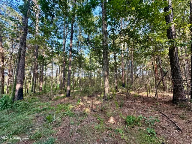 $235,000 | 5450 Jernigan Road, Liberty, MS 39645