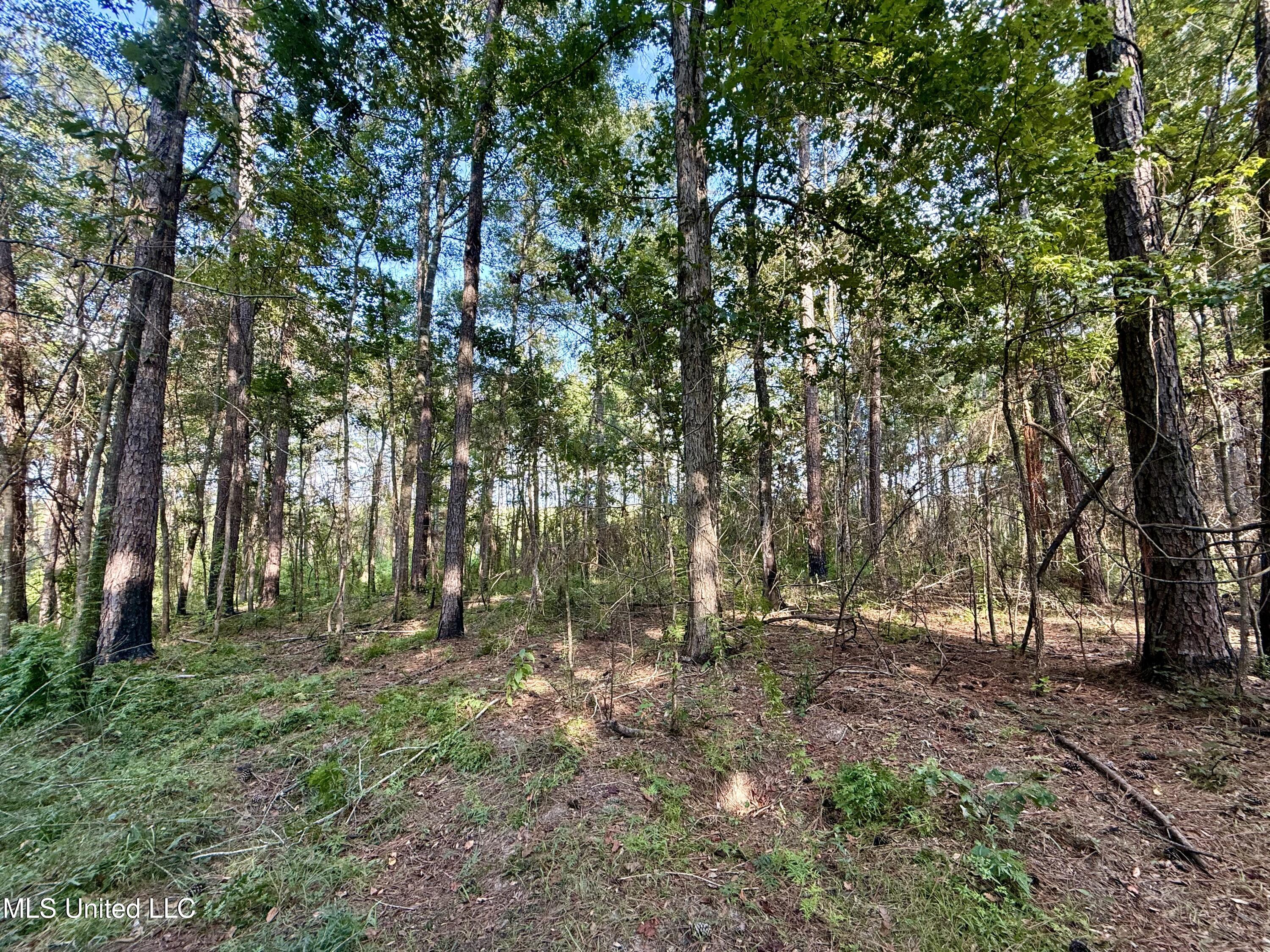 5450 Jernigan Road Liberty, MS 39645 - Photo 9 of 68 IMG_1147