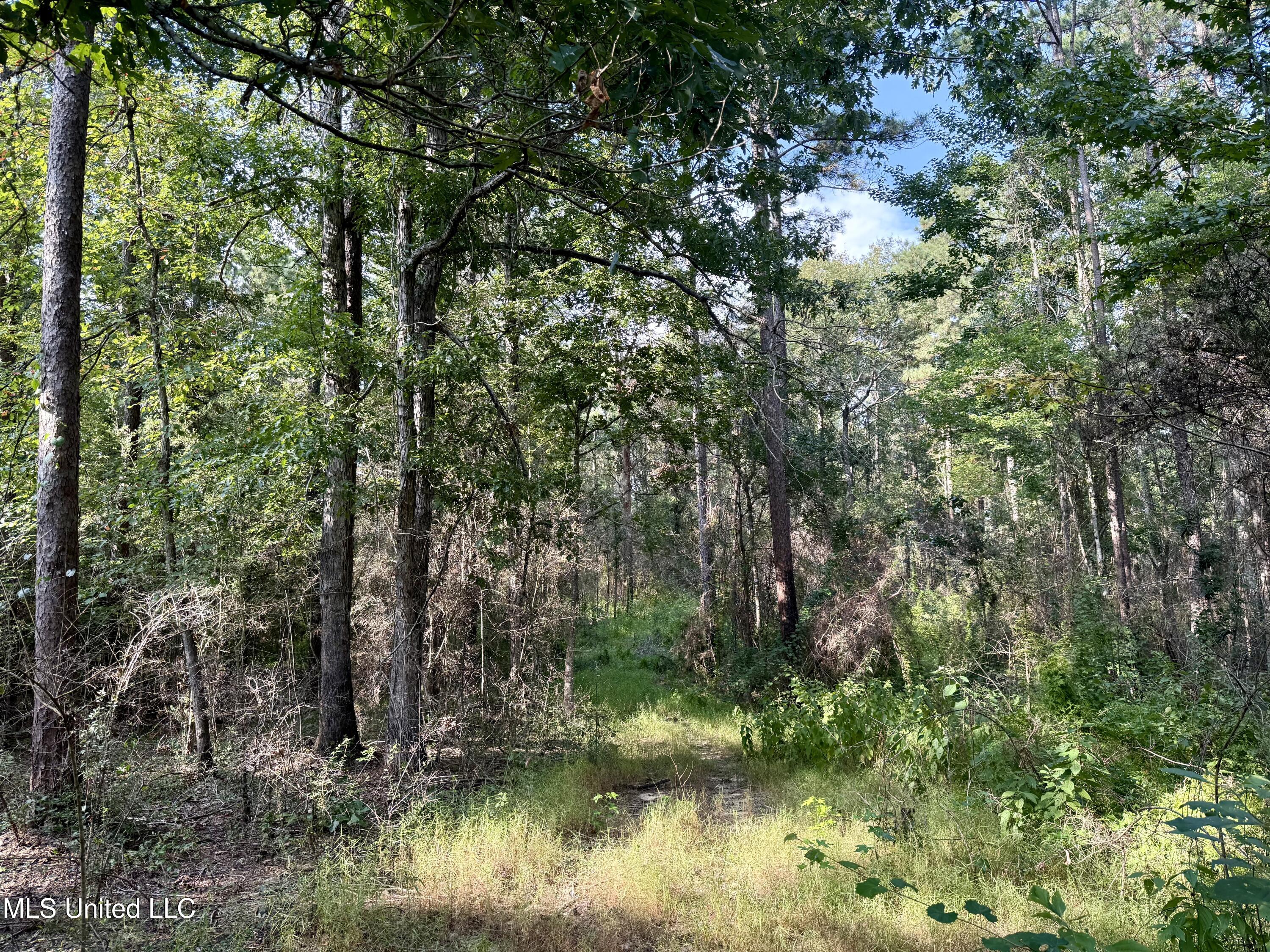 5450 Jernigan Road Liberty, MS 39645 - Photo 10 of 68 IMG_1146