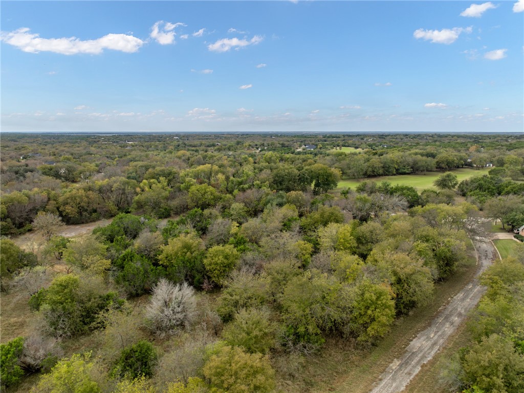 39081 Spring Willow Court Whitney, TX 76692 - Photo 3 of 26
