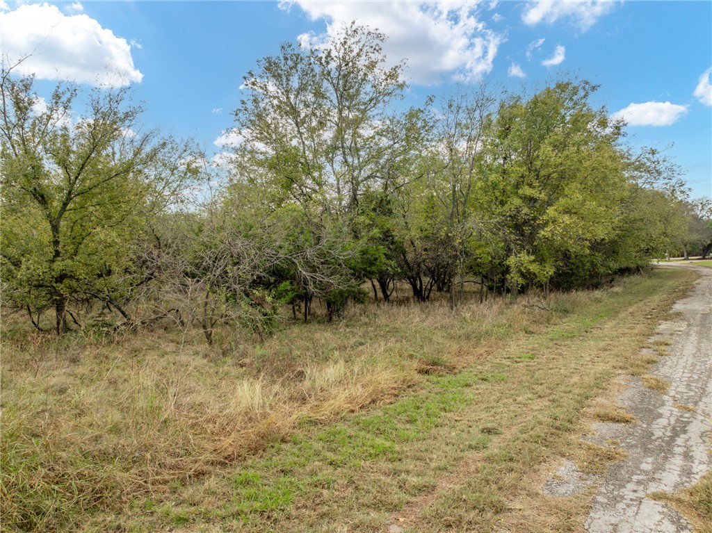 39081 Spring Willow Court Whitney, TX 76692 - Photo 4 of 26