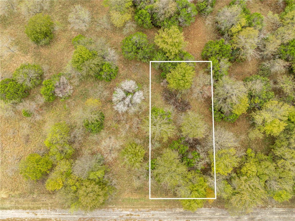 39081 Spring Willow Court Whitney, TX 76692 - Photo 6 of 26