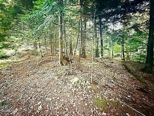 $144,900 | L31 Clarkson Road, Chestertown, NY 12817