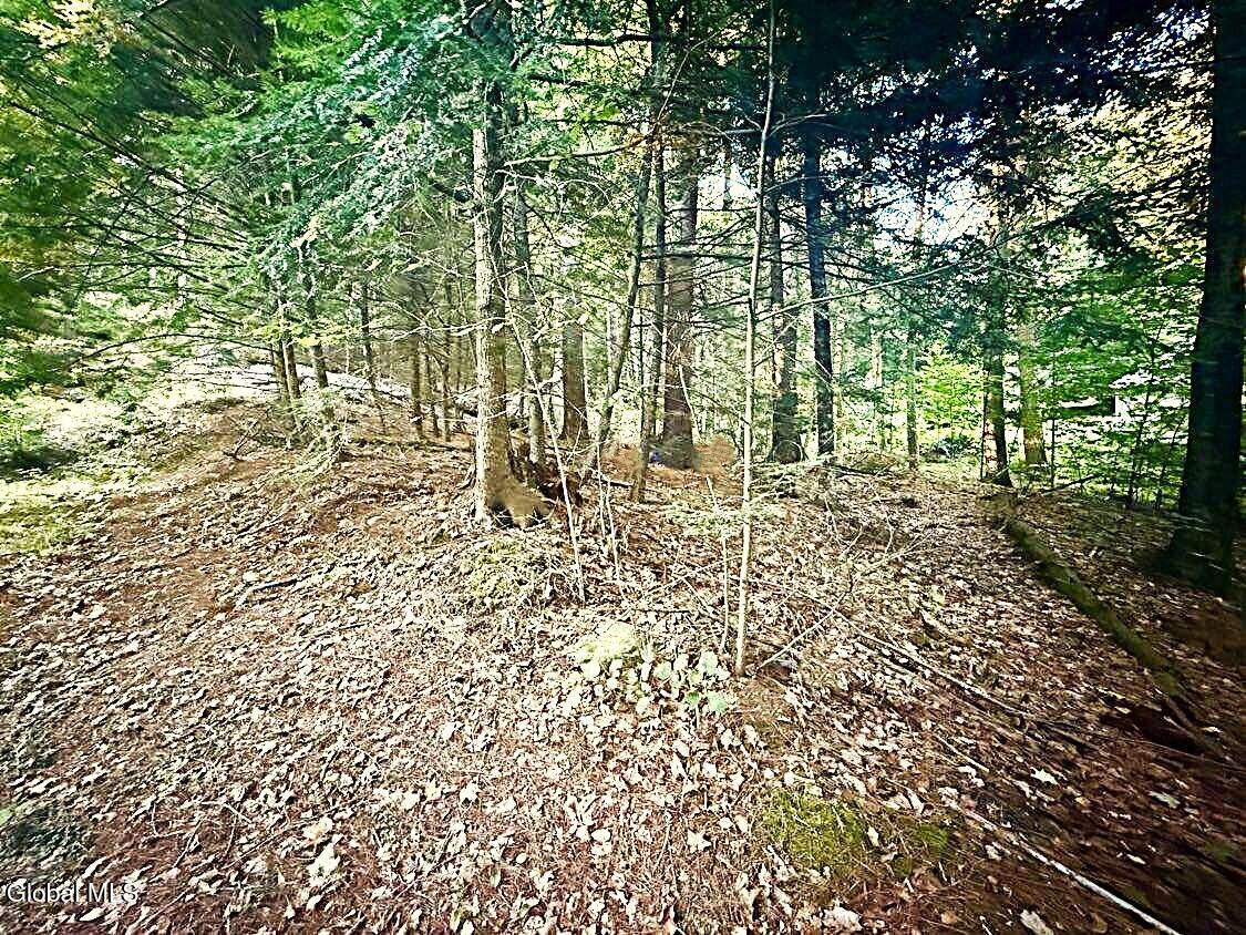 L31 Clarkson Road Chestertown, NY 12817 - Photo 1 of 14 L31 Clarkson Rd