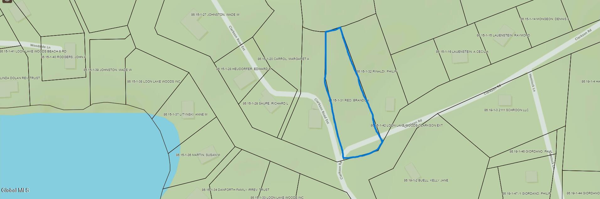 L31 Clarkson Road Chestertown, NY 12817 - Photo 14 of 14 screenshot-1759110231204