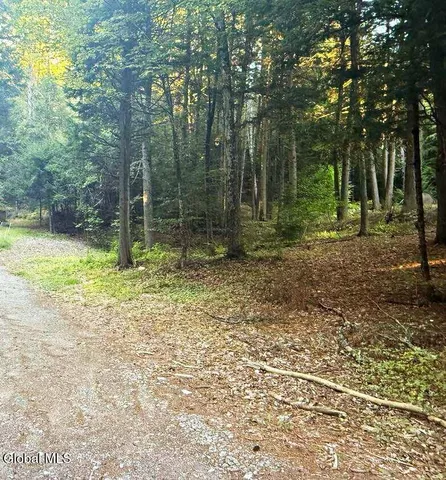 $144,900 | L31 Clarkson Road, Chestertown, NY 12817