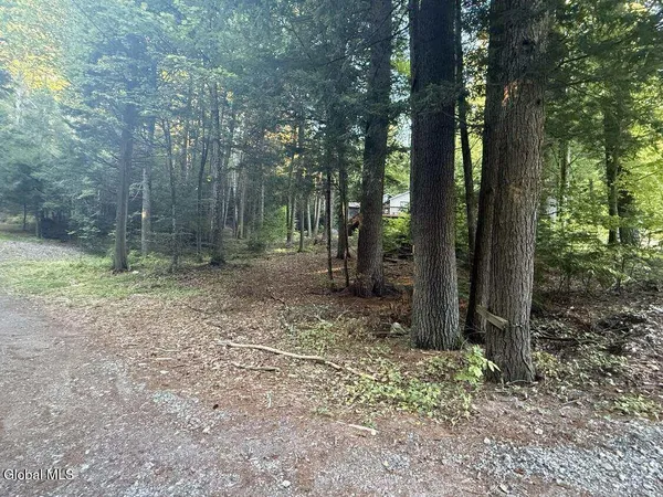 $129,000 | L31 Clarkson Road, Chestertown, NY 12817