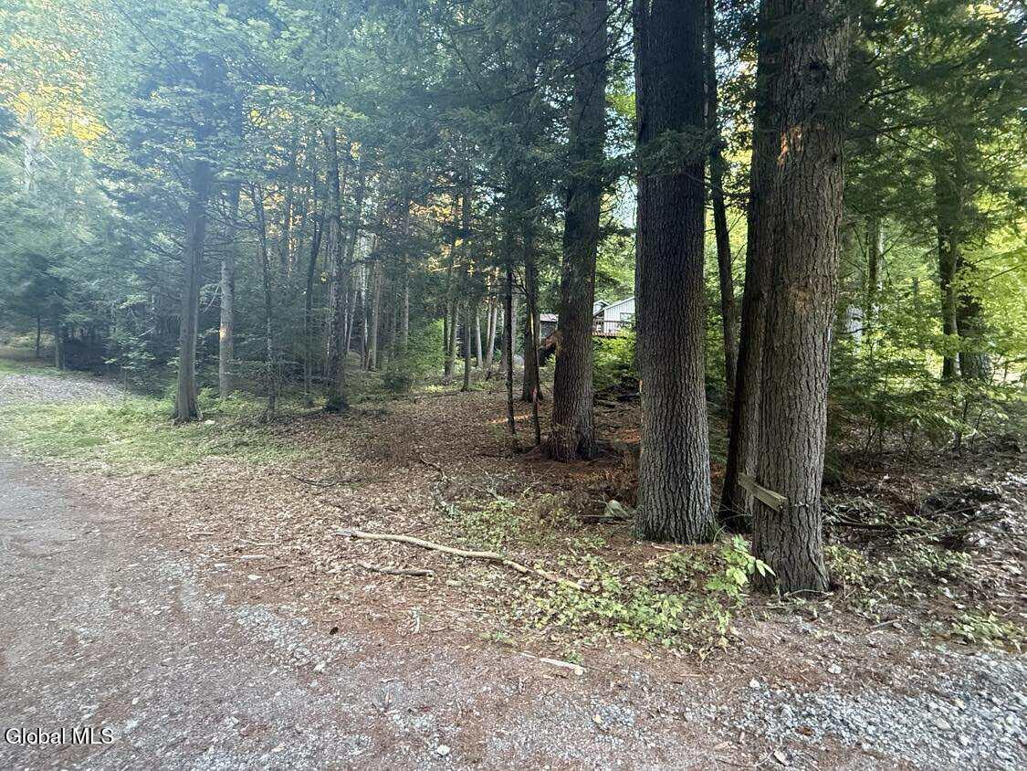 L31 Clarkson Road Chestertown, NY 12817 - Photo 3 of 14 553758066_775852295065396_66581945131207