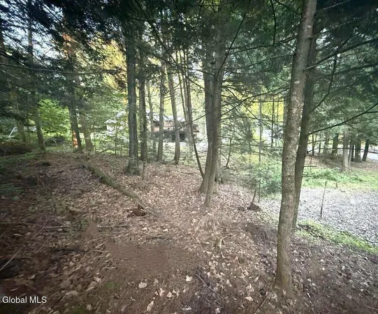 $129,000 | L31 Clarkson Road, Chestertown, NY 12817