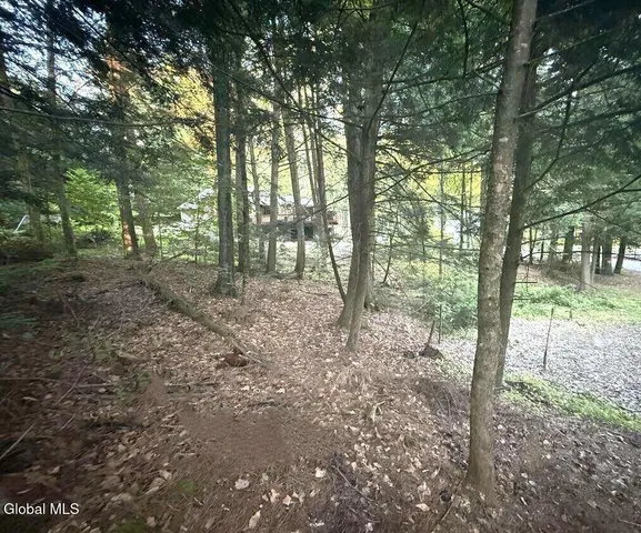 $144,900 | L31 Clarkson Road, Chestertown, NY 12817