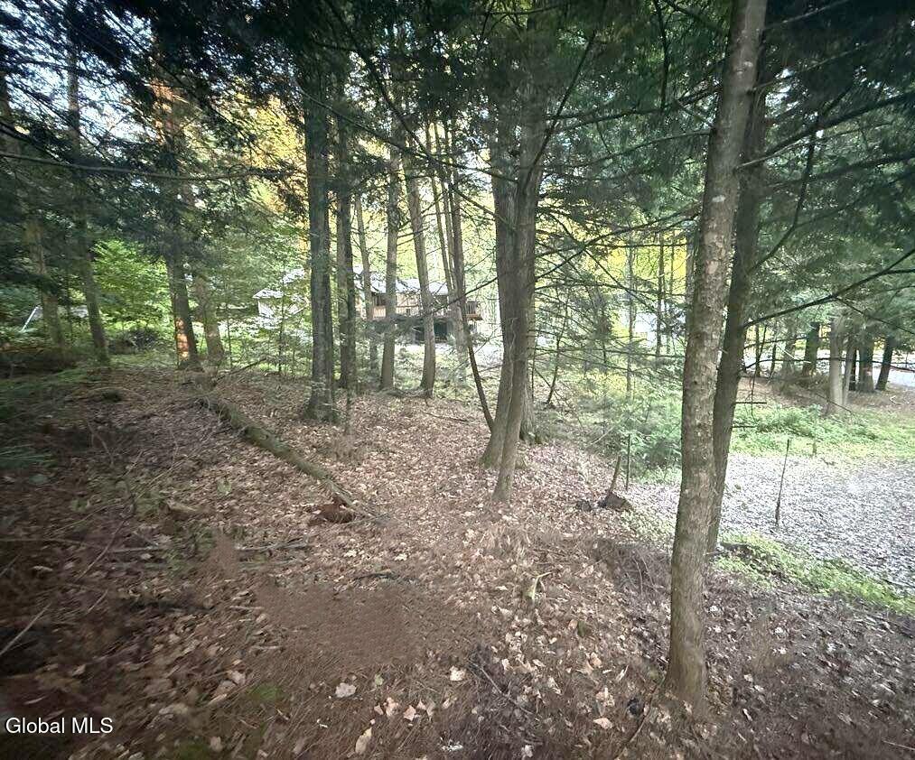 L31 Clarkson Road Chestertown, NY 12817 - Photo 7 of 14 552500782_1077961454167554_6925711872685