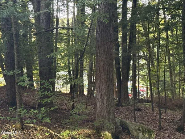 $129,000 | L31 Clarkson Road, Chestertown, NY 12817