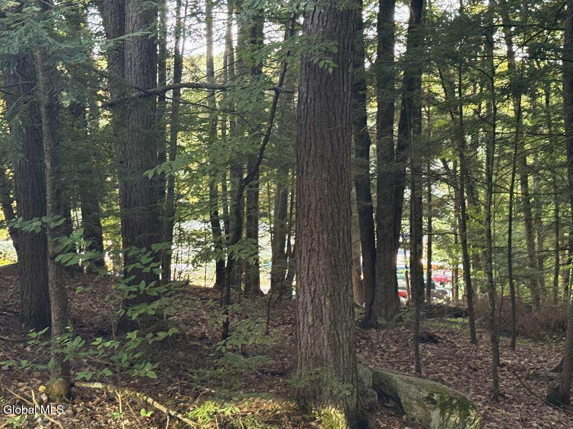 L31 Clarkson Road Chestertown, NY 12817 - Photo 8 of 14 552580743_3121739444676045_1566774286726