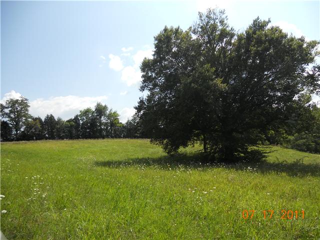 999 Furnace Hollow Road Dickson, TN 37055 - Photo 8 of 16