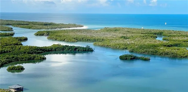 a view of a lake with a yard