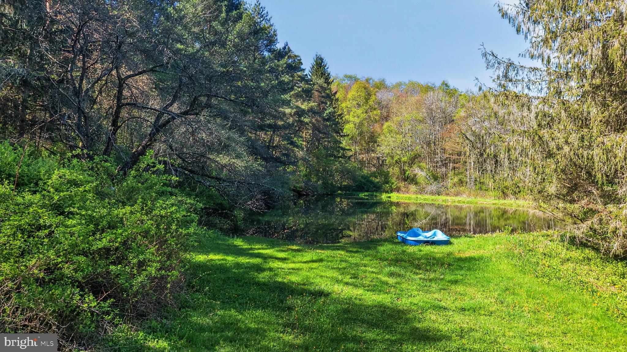 259 A A-Frame Road Coudersport, PA 16915 - Photo 108 of 130 Serene lakeside retreat in nature.