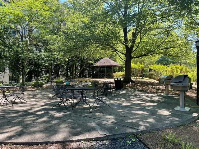 a view of a backyard