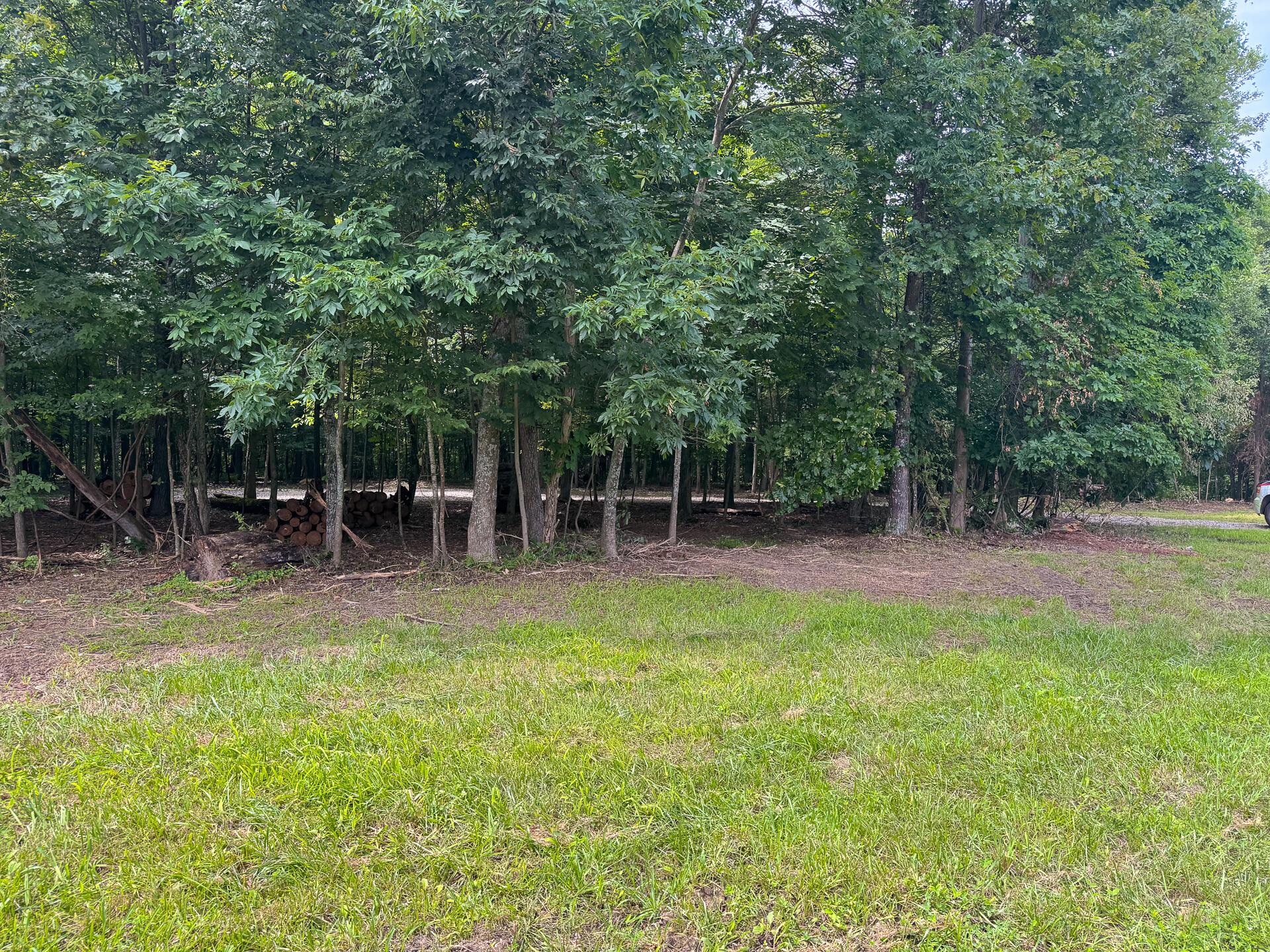 16487 Flint Ridge Road, Unit LOT L WOODS FLINT RIDGE) Newark, OH 43056 - Photo 9 of 39 CT-9