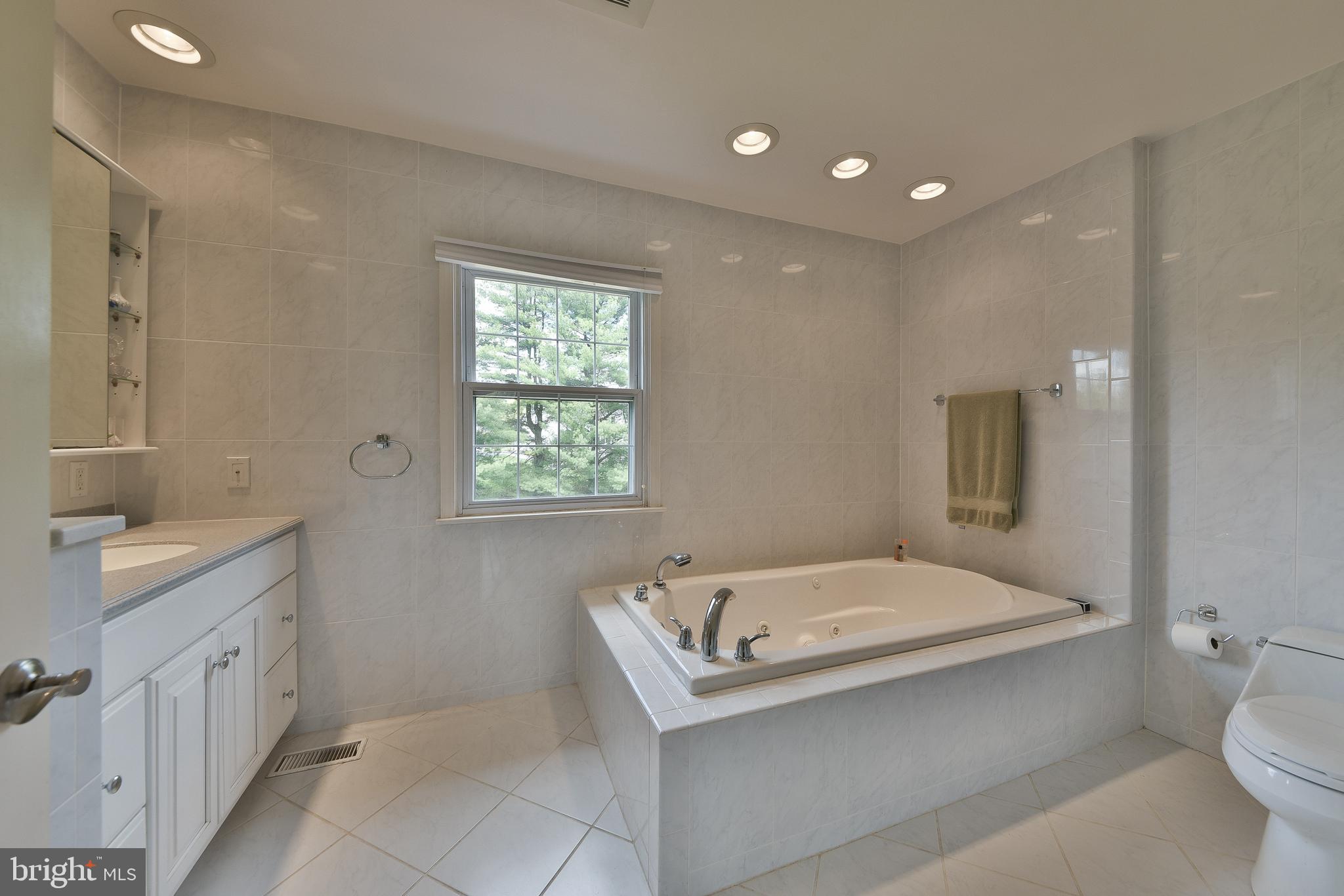 940 Morris Road Blue Bell, PA 19422 - Photo 25 of 54 Main Bathroom