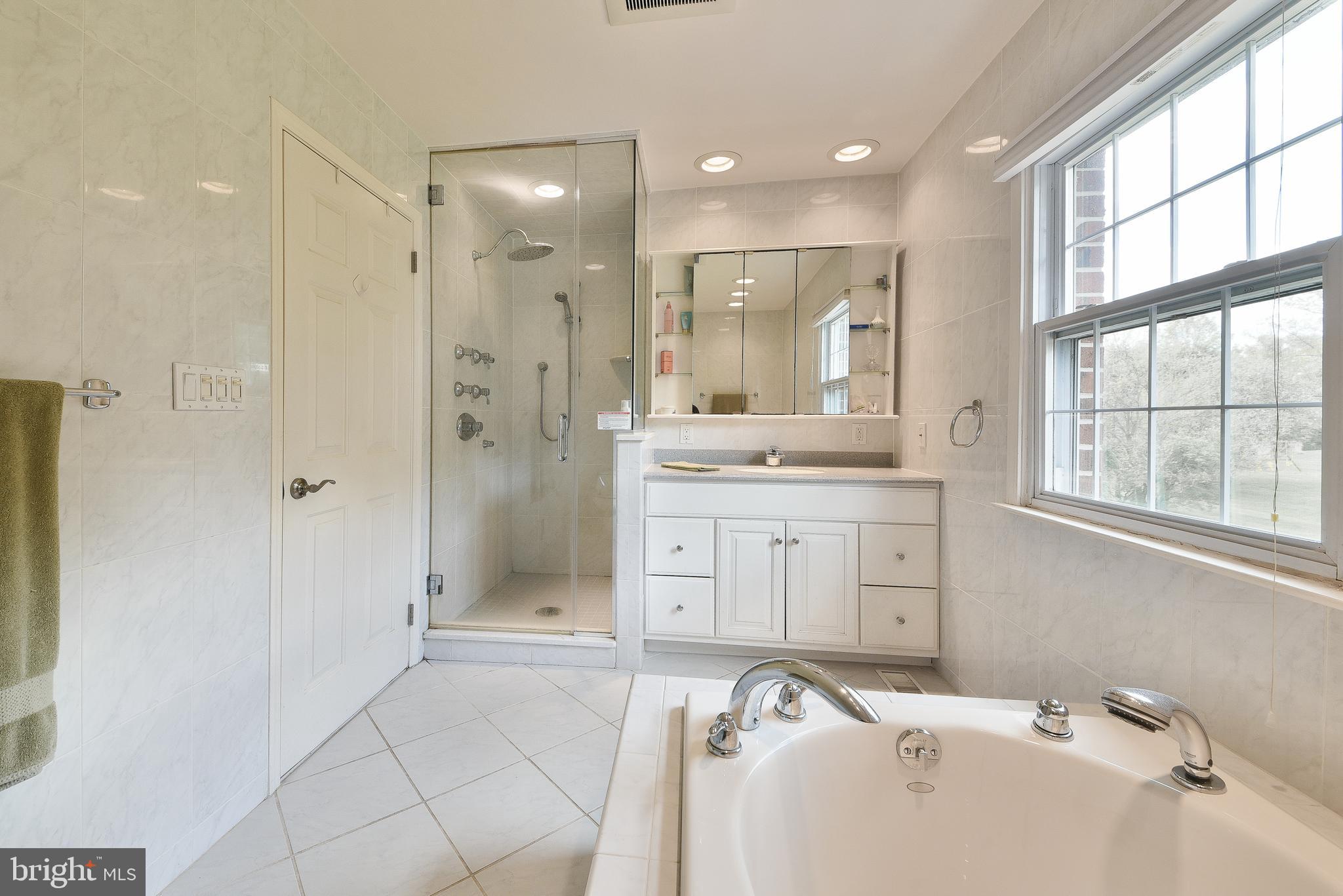 940 Morris Road Blue Bell, PA 19422 - Photo 26 of 54 Main Bathroom/Steam Shower