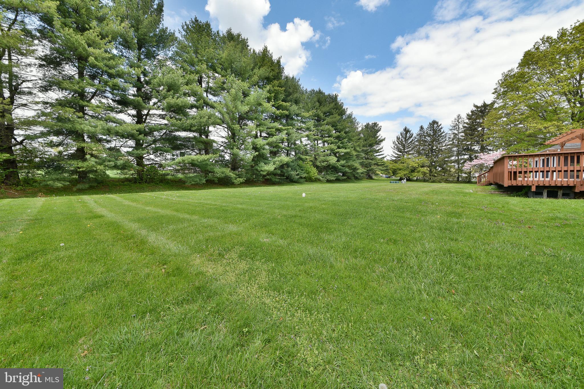 940 Morris Road Blue Bell, PA 19422 - Photo 47 of 54 Rear Yard