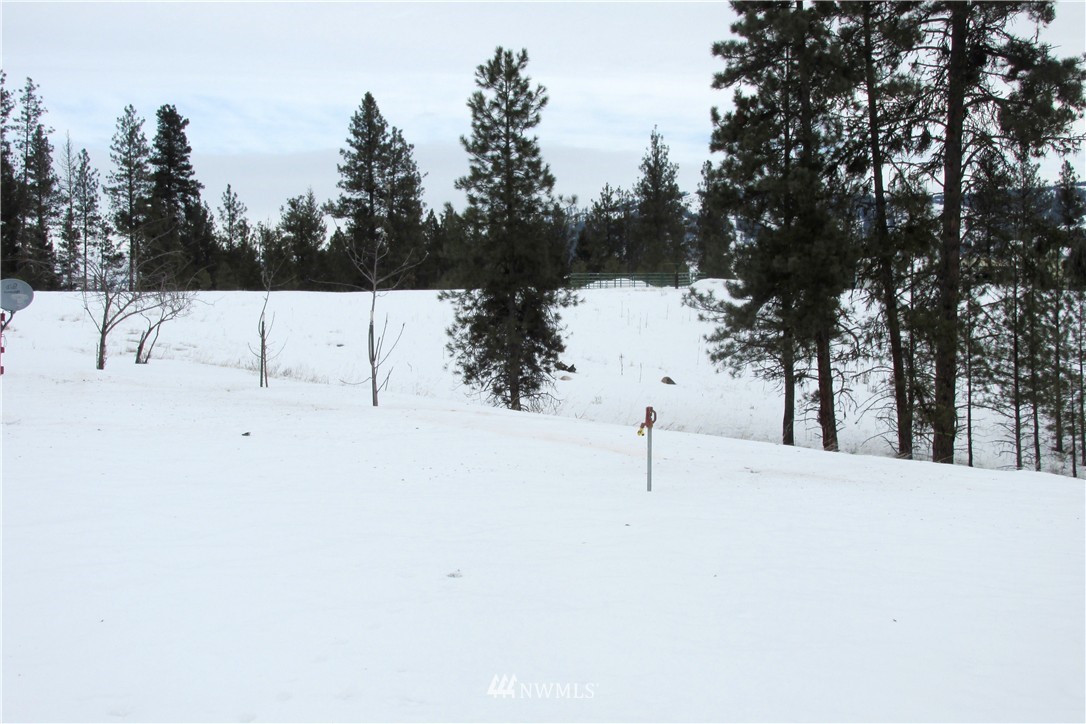 158 West Curlew Lake Road Republic, WA 99166 - Photo 14 of 20