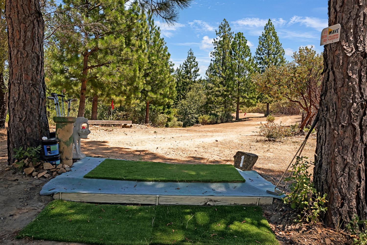 12336 Scott Road Mountain Ranch, CA 95246 - Photo 47 of 70