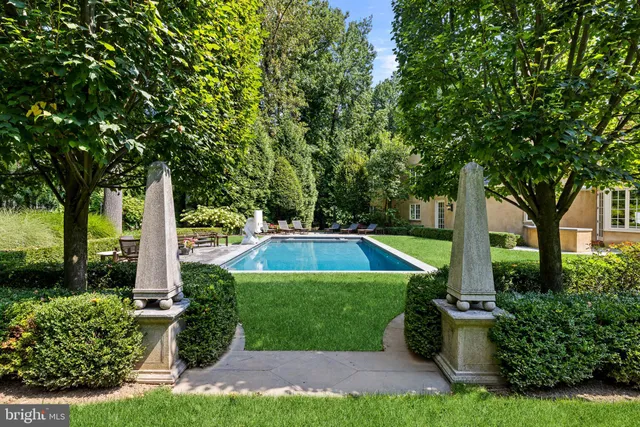 a view of a garden with plants