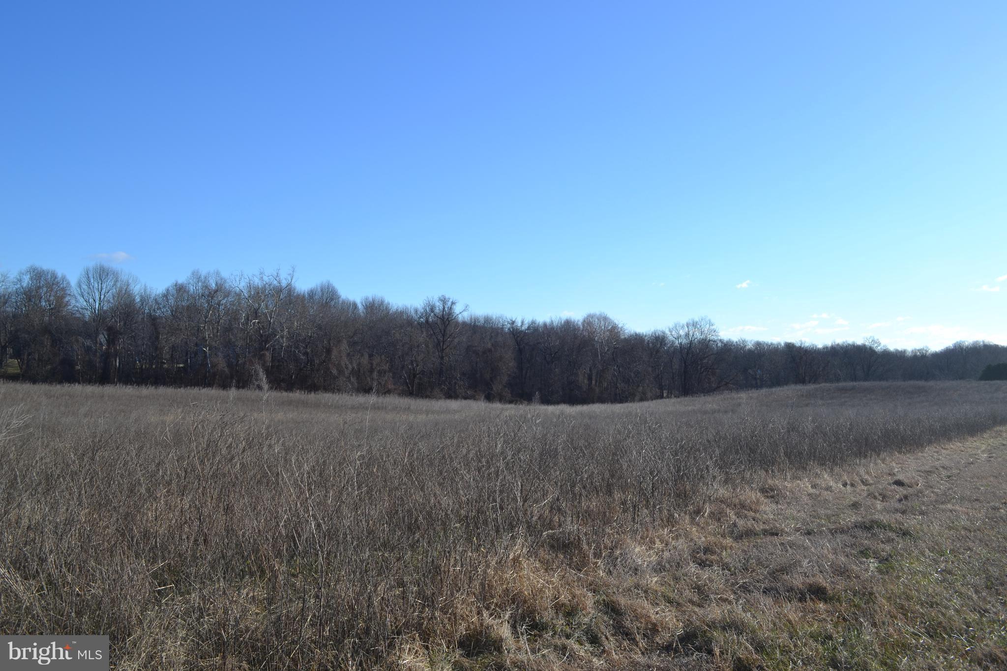 7030 Prout Road Friendship, MD 20758 - Photo 10 of 13