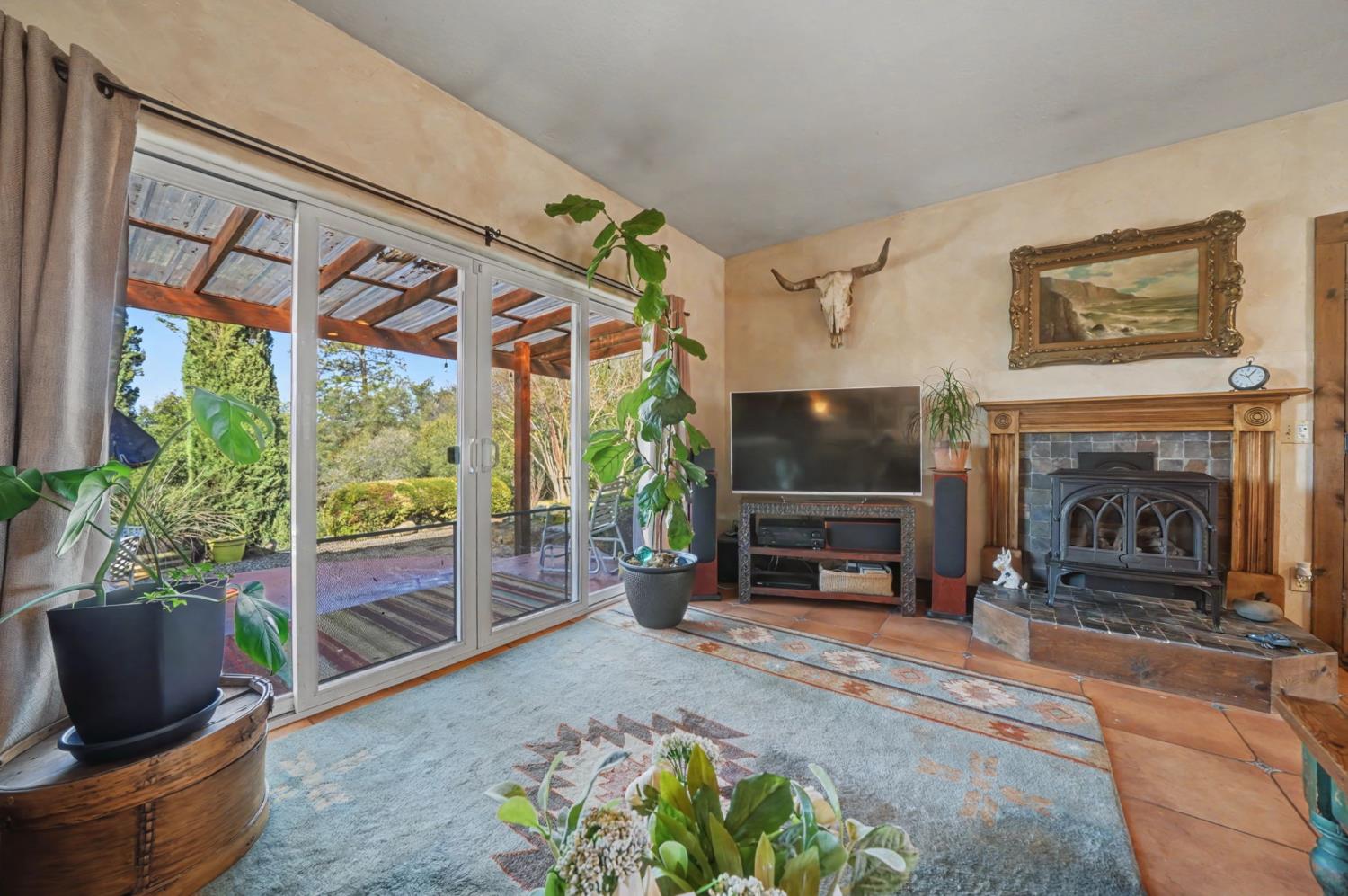 15900 Highway 88 Jackson, CA 95642 - Photo 14 of 48 a living room with furniture a flat screen tv and a fireplace