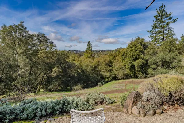 a view of a yard with a tree