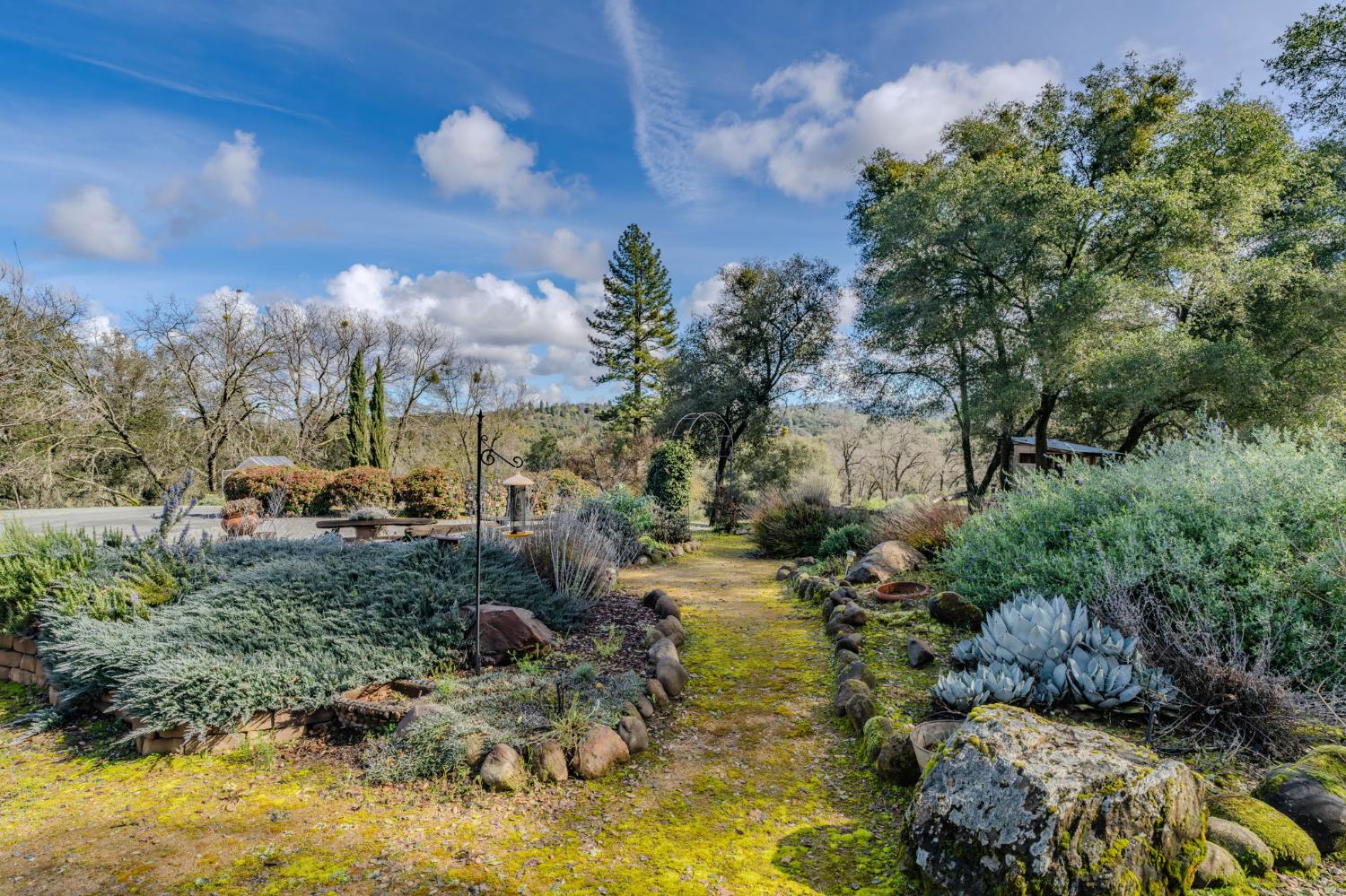 15900 Highway 88 Jackson, CA 95642 - Photo 25 of 48 a view of a lake with houses