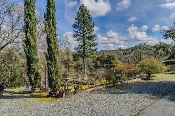a view of a park with large trees
