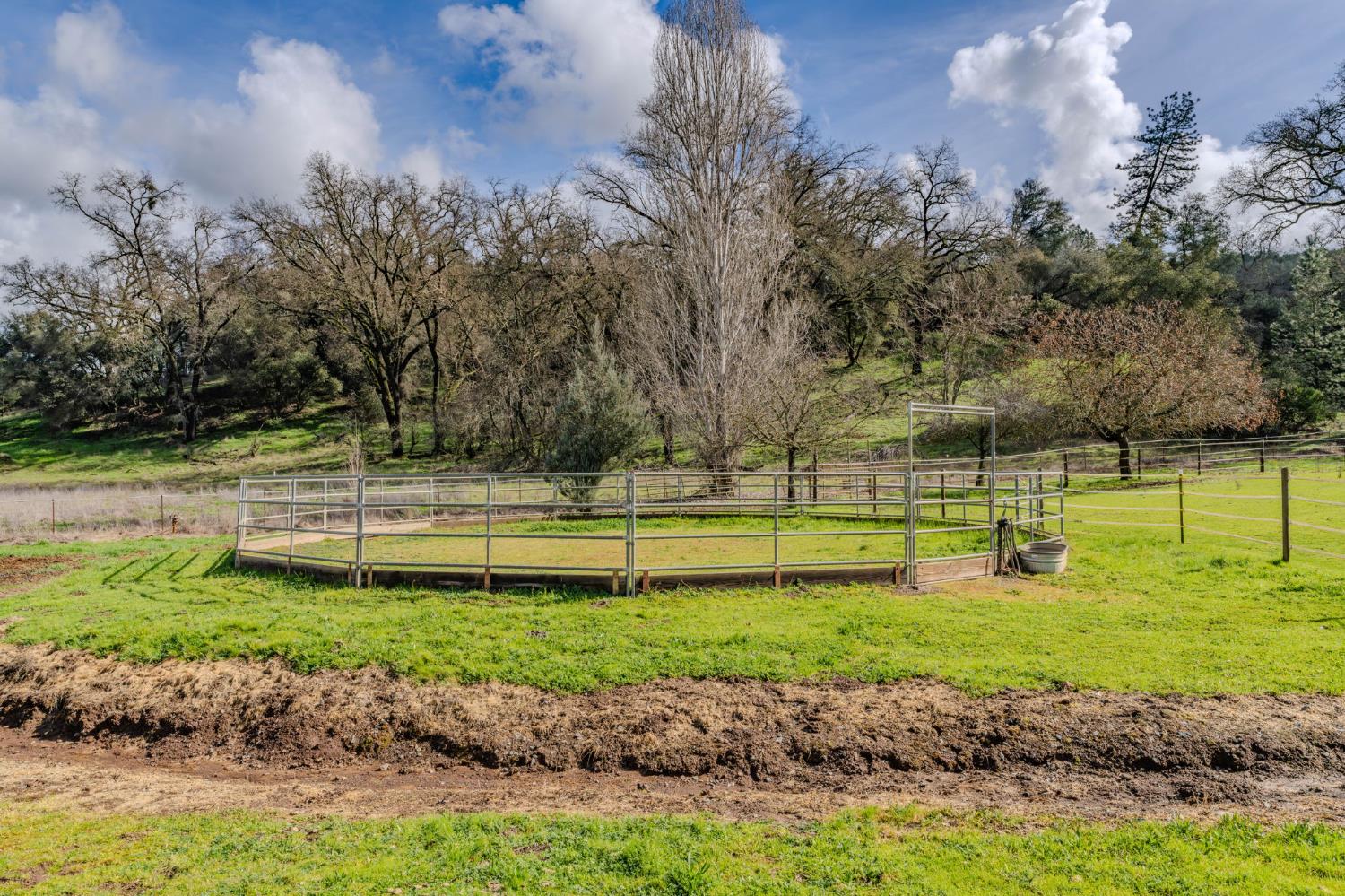 15900 Highway 88 Jackson, CA 95642 - Photo 36 of 48 a view of a park with large trees