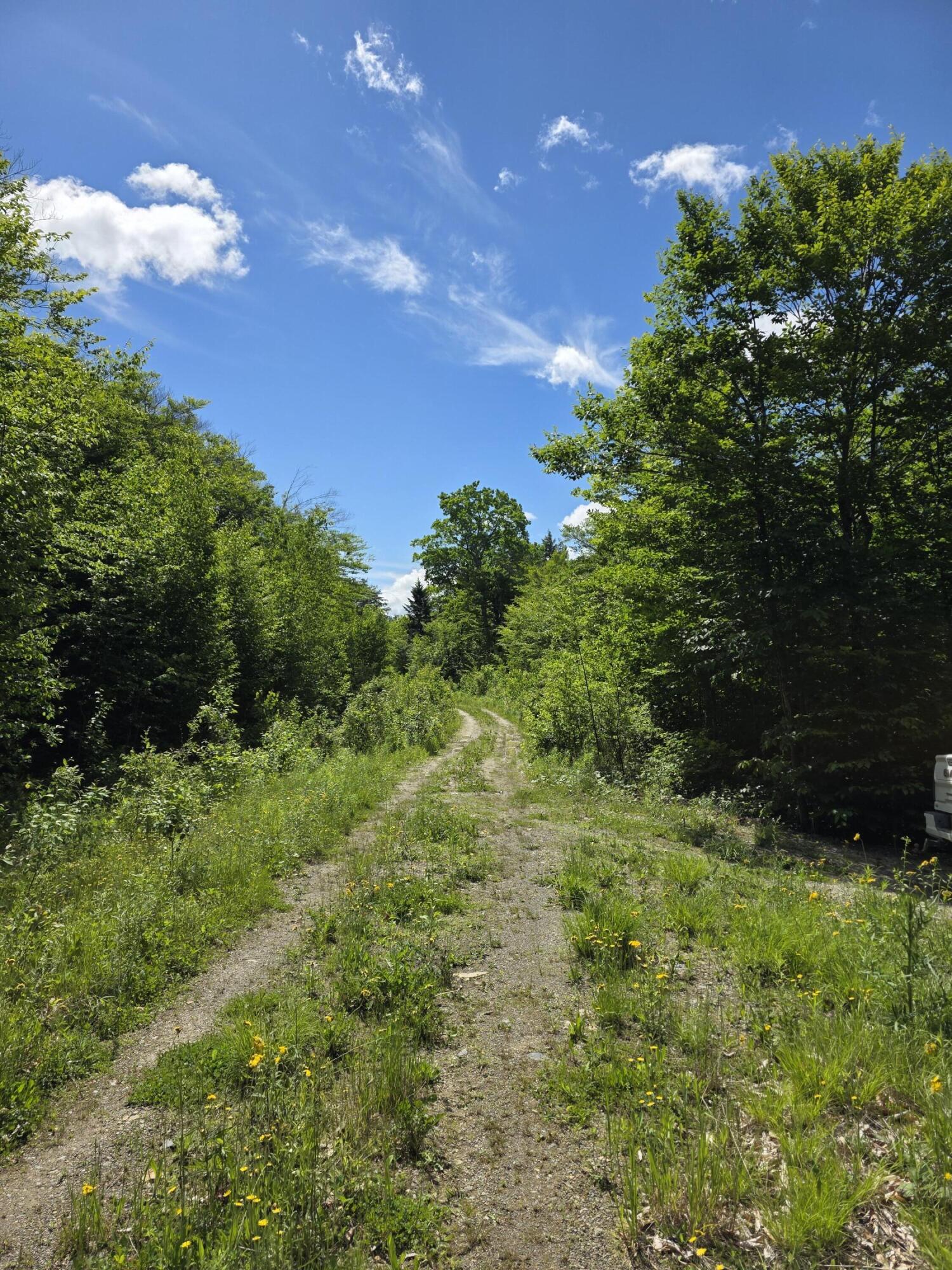 1.86 Lakeside Road Island Falls, ME 04747 - Photo 21 of 29 20260616_102401