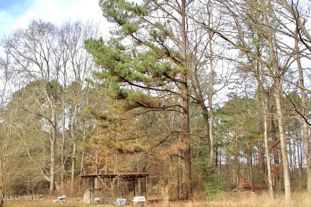 $205,000 | 1646 Southwest West Lincoln Drive, McCall Creek, MS 39647