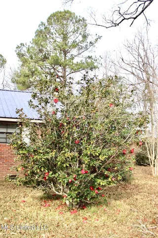 $205,000 | 1646 Southwest West Lincoln Drive, McCall Creek, MS 39647