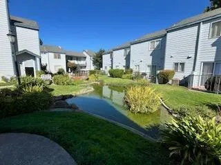 a view of a house with a big yard