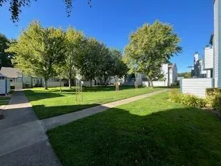 a view of a park with tree s