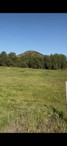 a view of a green field