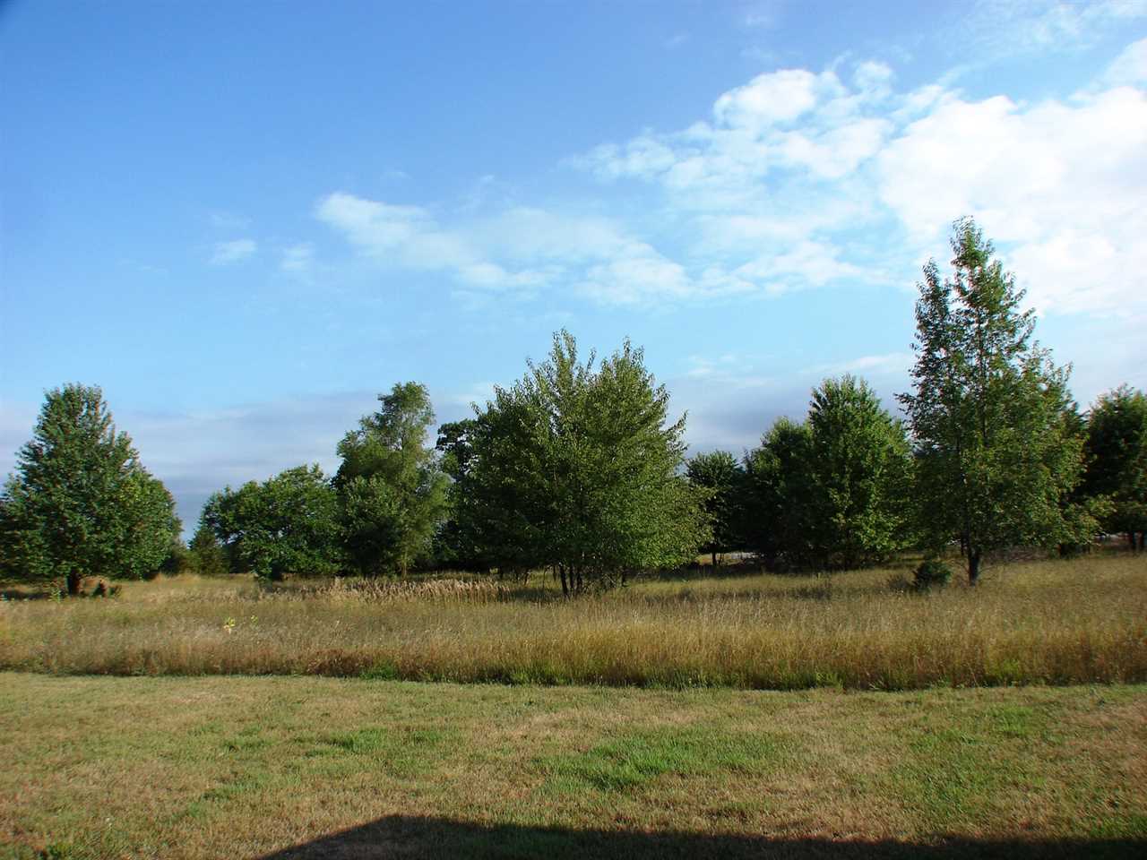 3740 West Washington Road Ithaca, MI 48847 - Photo 7 of 62 1865917-6.JPG